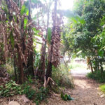 Terreno à venda com 5 quartos em Vila Medeiros, São Paulo, SP
