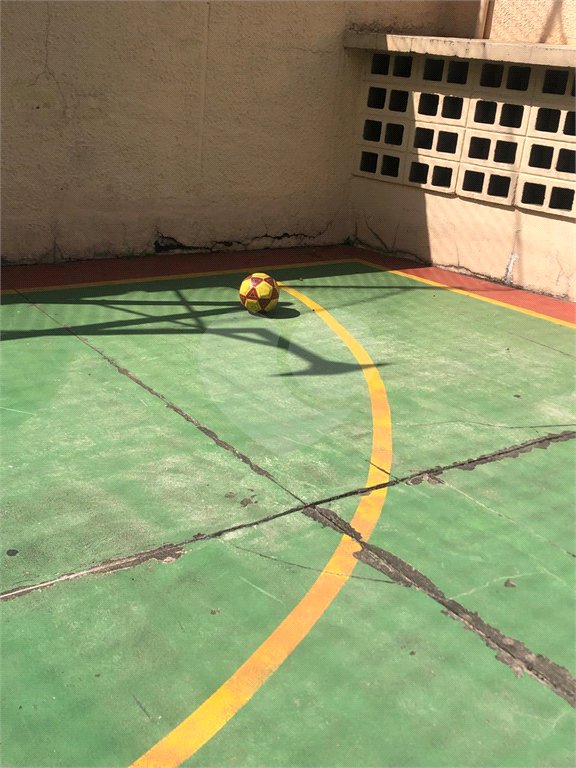Apartamento para alugar com 3 quartos em Tucuruvi, São Paulo, SP