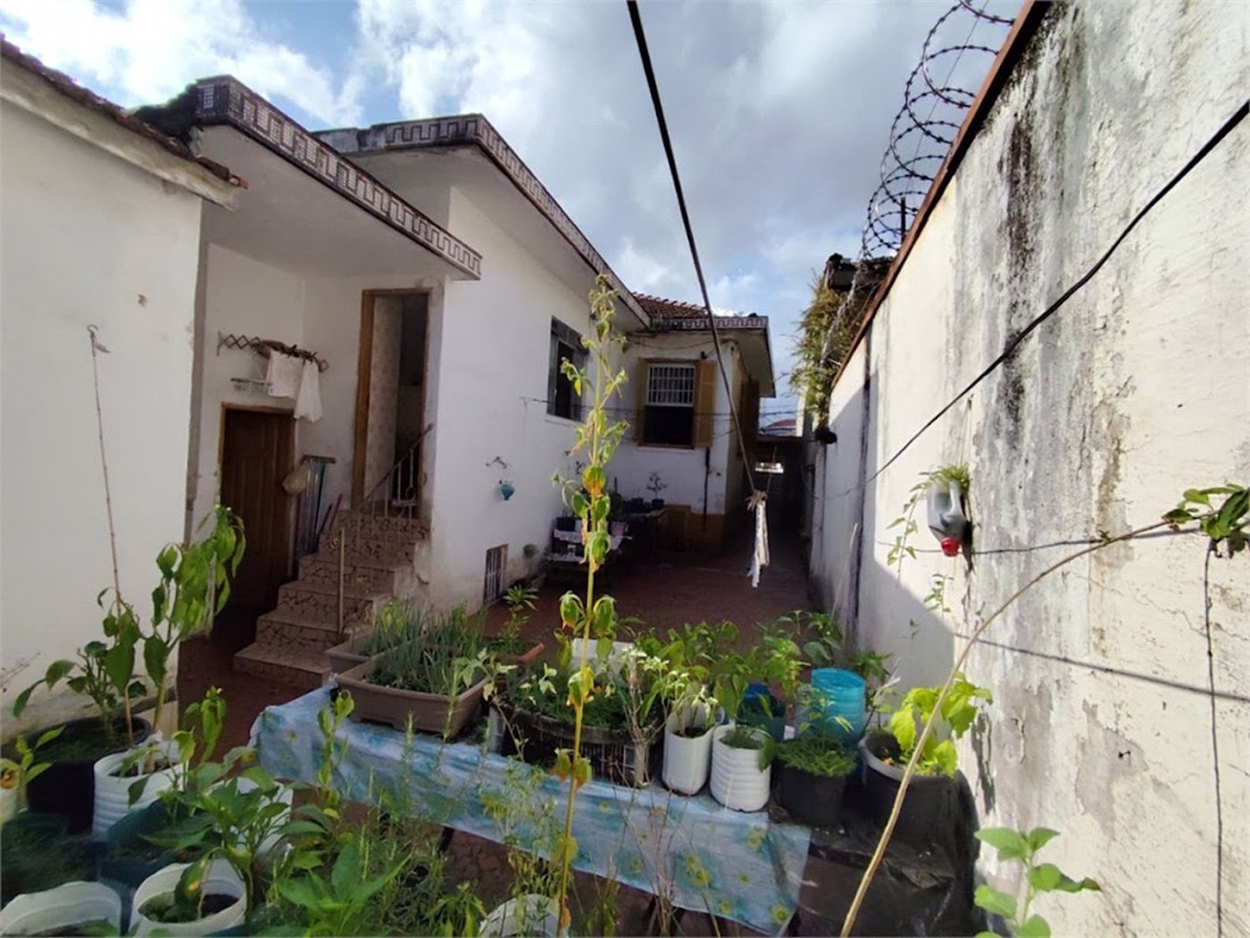 Casa com 4 dormitórios à venda, 500 m² por R$ 2.000.000,00 - Vila Belmiro - Santos/SP