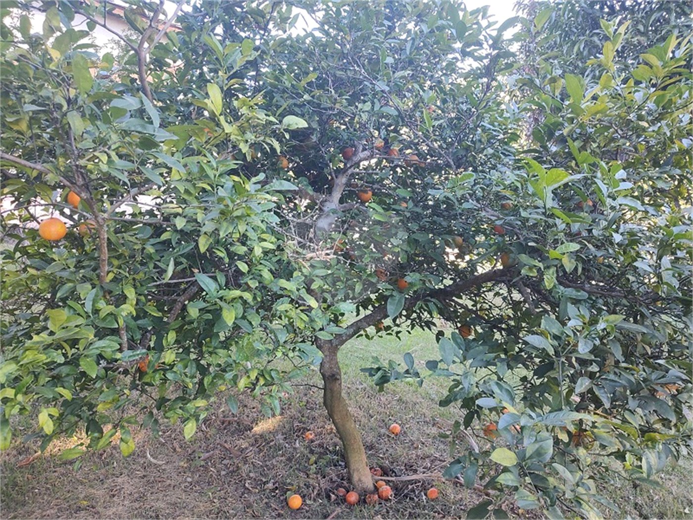Chácara à venda com 4 quartos, sendo 1 suíte, em Chácaras Fernão Dias, Atibaia, SP