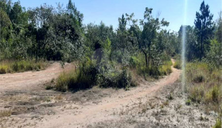 Terreno à venda em Caraguatá, Mairiporã, SP