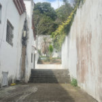 Casa à venda com 5 suítes em Roseira, Mairiporã, SP
