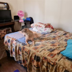 Casa térrea para venda em Araraquara.