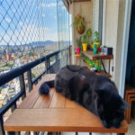 Apartamento à venda com 2 quartos, sendo 1 suíte, em Água Branca, São Paulo, SP