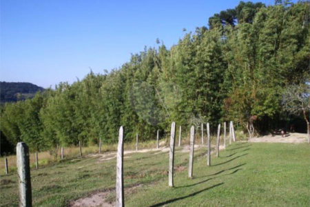 Terreno à venda em Vila Darcy Penteado (mailasqui), São Roque, SP