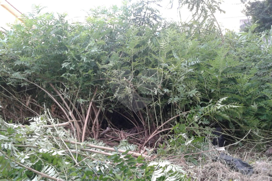 Terreno à venda em Imirim, São Paulo, SP