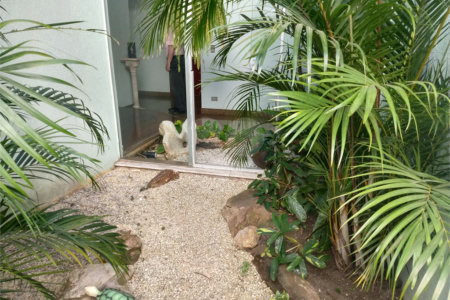 Sobrado à venda com 4 quartos, sendo 1 suíte,  em Parque dos Príncipes, São Paulo, SP
