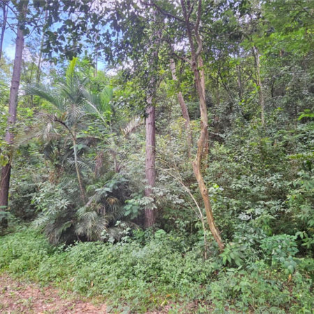 Terreno à venda em Chácara Recreio Lagoa dos Patos, Jundiaí, SP