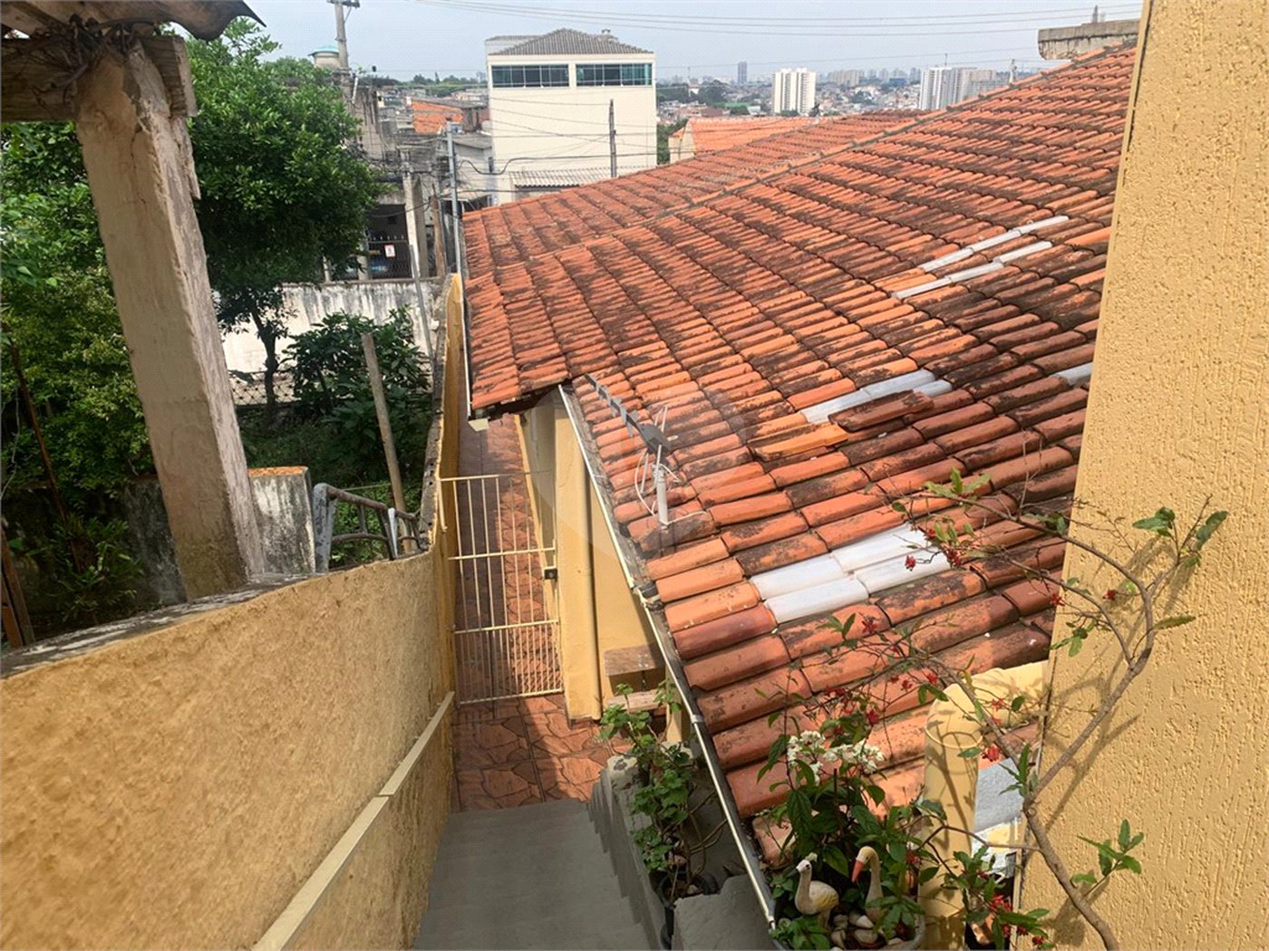 Casa à venda com 1 suíte em Vila Nova Cachoeirinha, São Paulo, SP