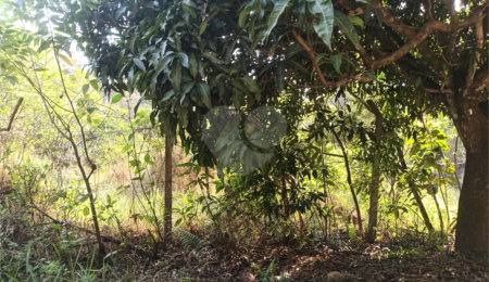 Terreno à venda em Bosque dos Eucalíptos, Atibaia, SP