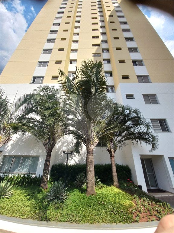 Apartamento à venda com 2 quartos, sendo 1 suíte, em Vila Milton, Guarulhos, SP