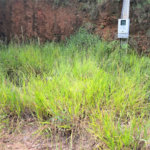Terreno à venda em Terra Preta (terra Preta), Mairiporã, SP