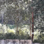 Terreno à venda em Vila Andrade, São Paulo, SP