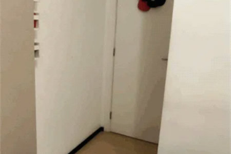 Apartamento à venda com 2 quartos em Vila Plana, São Paulo, SP