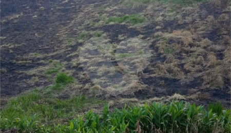 Terreno à venda em Vila Oliveira, Mogi das Cruzes, SP