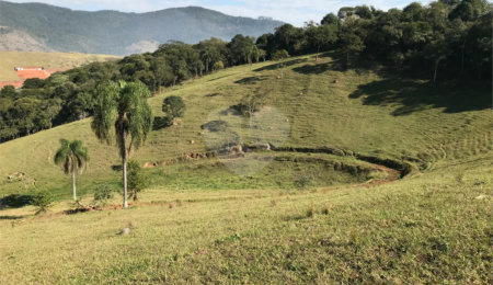 Fazenda à venda com 3 quartos em Cachoeirinha, Bom Jesus dos Perdões, SP