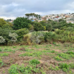 Terreno à venda em Bosque, Vinhedo, SP