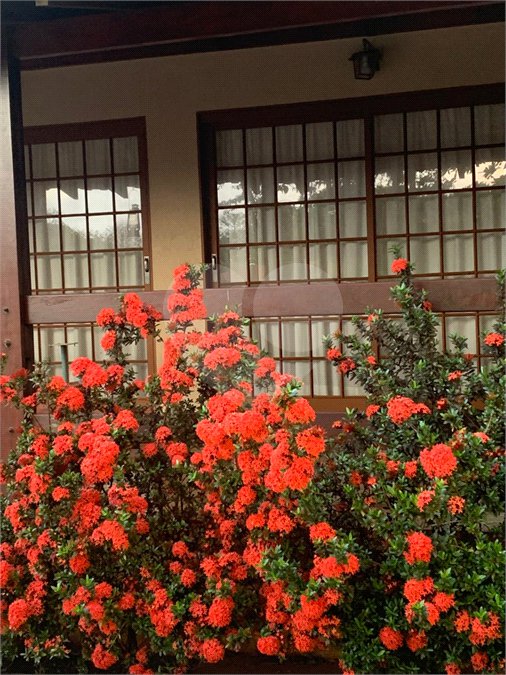Casa à venda com 4 quartos, sendo 2 suítes, em Jardim Canadá, Ribeirão Preto, SP