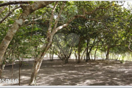 Terreno à venda no condomínio Mogi dos Pássaros, Belmonte - BA