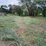 Terreno à venda em Vale Verde, Valinhos, SP
