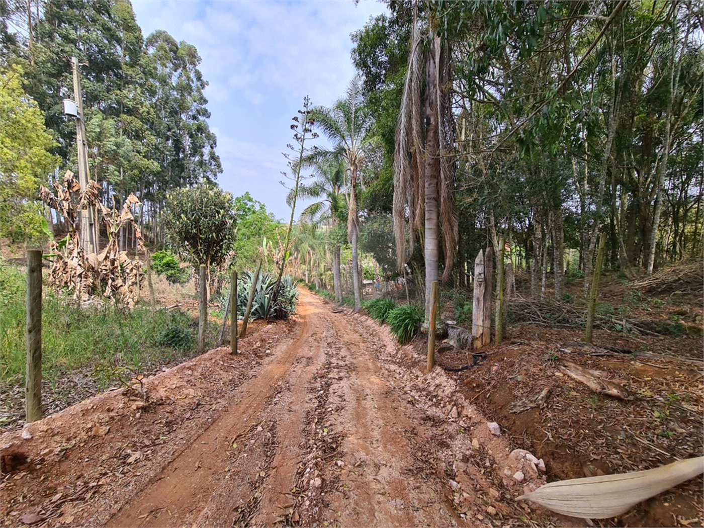 Ribeirão Grande - Bairro ferreira dos Matos - Sítio de 30.000 metros - R$ 600.000,00