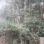 Terreno à venda em Suasalito, Mairiporã, SP