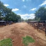 Terreno à venda em Parque das Bandeiras 2, Indaiatuba, SP