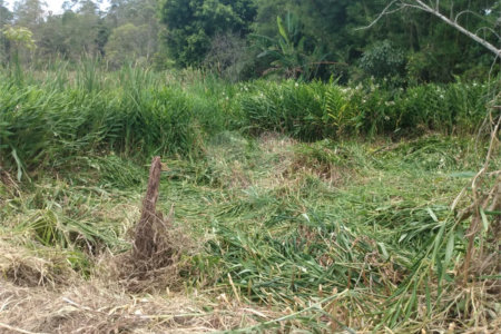 Terreno à venda em Cézar de Souza, Mogi das Cruzes, SP