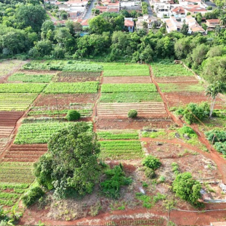 Terreno à venda em Jardim Itaú, Ribeirão Preto, SP