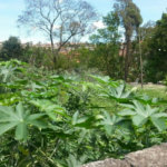 Sobrado à venda com 2 quartos em Parque São Francisco, Itatiba, SP