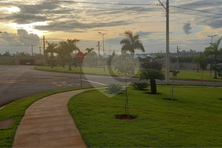 Terreno à venda no condomínio Residencial Quinta da Mata Ribeiião Preto, Ribeirão Preto - SP