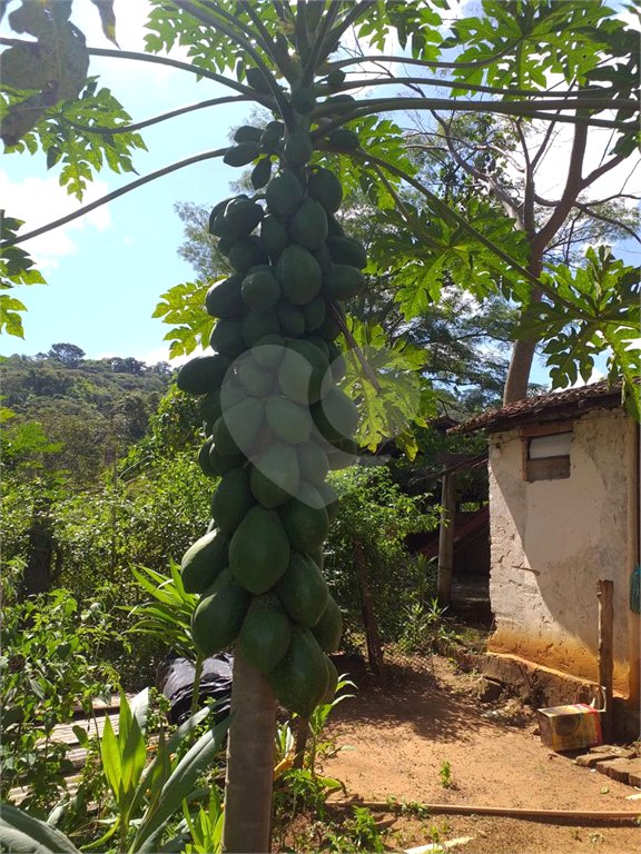 Sítio à venda com 2 quartos no Centro, Descalvado, SP