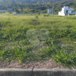 Terreno à venda no condomínio Residencial Veneza, Mogi das Cruzes - SP