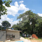 Chácara à venda com 2 quartos em Serra da Cantareira, Mairiporã, SP