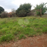 Terreno à venda em Vila Judite, Itapetininga, SP