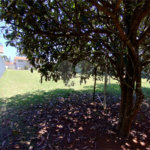 Casa à venda com 5 suítes em Jardim Colombo, Itapetininga, SP