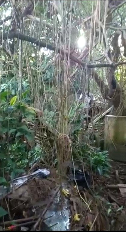 Terreno à venda com 1 quarto em Chora Menino, São Paulo, SP