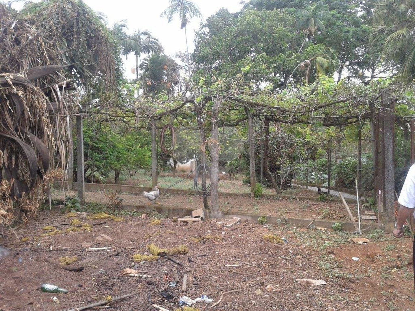 Terreno à venda em Horto Florestal, São Paulo, SP