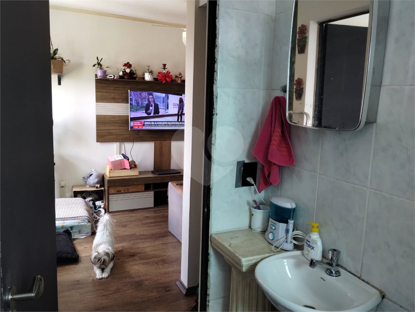 Apartamento à venda com 2 quartos em Vila Santa Teresa (zona Sul), São Paulo, SP
