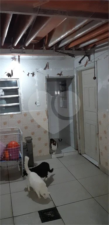 Casa Térrea à venda com 4 quartos em Vila Gustavo, São Paulo, SP