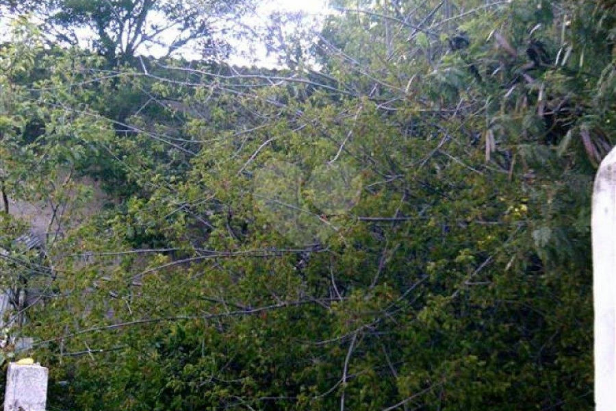Terreno à venda em Vila Mazzei, São Paulo, SP