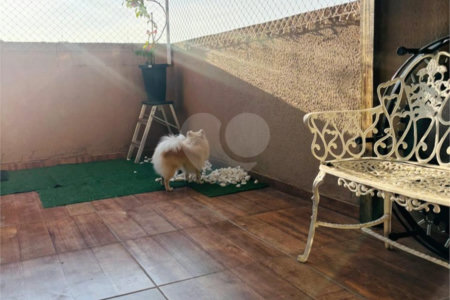 Apartamento à venda ou para alugar com 3 quartos em Jardim Ipanema, Sorocaba, SP