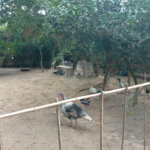 Casa à venda com 4 quartos no condomínio Associação Residencial Portal das Colinas, Mairiporã - SP