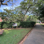 Terreno à venda em Paraisópolis, São Paulo, SP