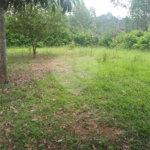 Chácara à venda com 4 quartos, sendo 2 suítes, em Serra da Cantareira, Mairiporã, SP
