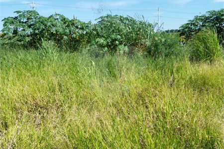 Terreno à venda no condomínio Residencial Smart City, Salto - SP