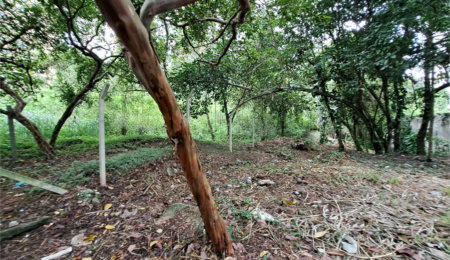 Terreno à venda em Jardim Ampliação, São Paulo, SP