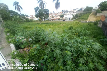 Terreno à venda em Vila Oliveira, Mogi das Cruzes, SP