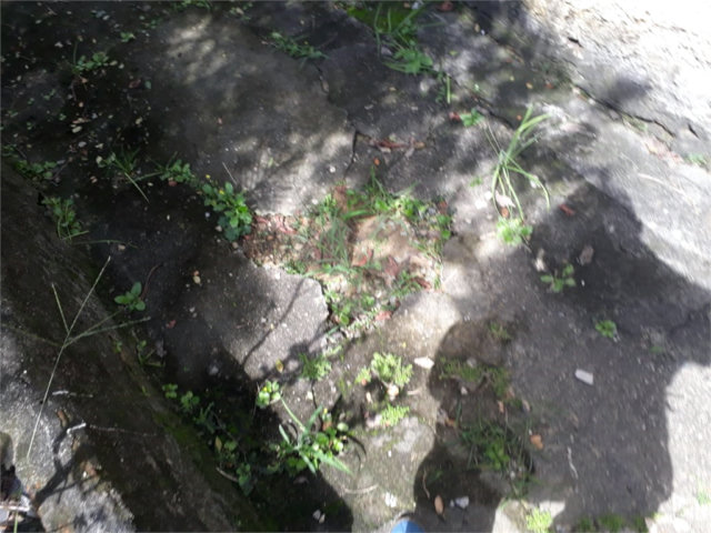 Terreno à venda em Santana, São Paulo, SP