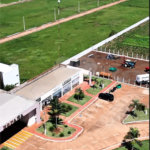 Terreno à venda em Pedro Juan Caballero, Amambay